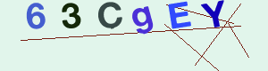 captcha img